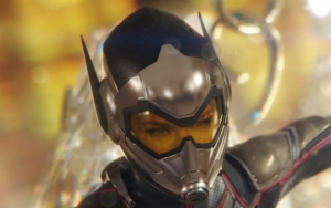 Sutradara 'Ant-Man' Ingin Garap 'Female Avengers', The Wasp Ditunjuk Jadi Pemimpin