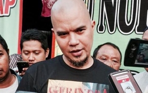 Terjun ke Dunia Politik, Netter Rindukan Ahmad Dhani Sebagai Musisi