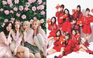 NET TV Salah Sebut Black Pink Jadi Twice, Fans Murka