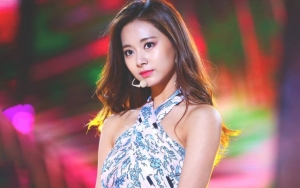 Cantik Mirip Tzuyu Twice dan Digadang-Gadang Siap Debut, Netter Sayangkan Trainee Ini Tinggalkan SM