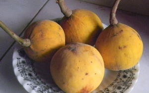 Buah Buahan Indonesia Yang Jarang Diketahui Namanya