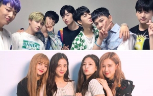 YG Disebut Manipulasi Chart AAA Black Pink - iKON, Artikel Pann Ini Tuai Pro Kontra