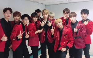 Wanna One Diumumkan Segera Comeback, Netter Siap Keluarkan Dompet