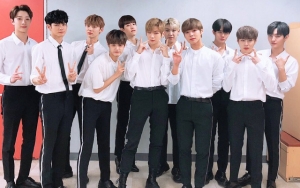 Sempat Diisukan Tekan Member Wanna One, Ini Kata Agensi Soal Perpanjangan Kontrak