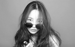 Organisasi Kekerasan Cyber Seksual Korea Ajukan Petisi Untuk Penjarakan Mantan Goo Hara