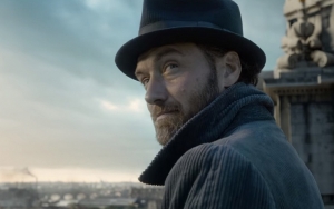 Sutradara Sebut 'Fantastic Beasts 2' Akan Gambarkan Dumbledore Sebagai Gay