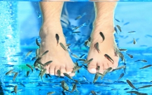 6 Bahaya Terapi Gigit Ikan (Garra Rufa) yang Sering Terabaikan