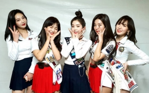 Red Velvet Dikabarkan Comeback, Begini Respon SM Entertainment