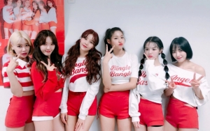 Undang  AOA di Closing Ceremony Asian Para Games, Ini Alasan INAPGOC Ketimbang Pilih Black Pink-EXO