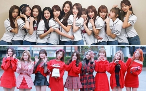 Agensi IZ*ONE dan Fromis_9 Tempuh Jalur Hukum Untuk Komentar Negatif