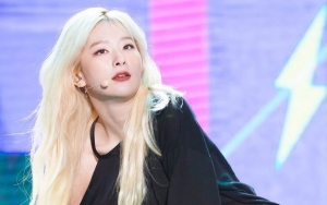 Karena Hal Ini Seulgi Red Velvet Dapat Julukan Master