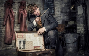 'Fantastic Beasts 2' Baru Saja Rampungkan Screening, Kritikus Film Beri Ulasan Positif