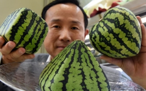 10 Buah Hasil Rekayasa Genetik yang Unik dan Tak Mudah Ditemukan, Sudah Pernah Coba?