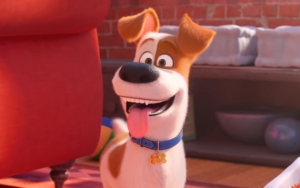 Rilis Trailer Perdana, 'The Secret Life Of Pets 2' Tampilkan Max Si Anjing Cerdas