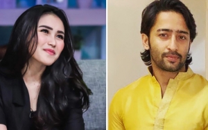 Ayu Ting Ting Dituding Pacari Fransen Susanto, Shaheer Sheikh Tak Mau Kalah?