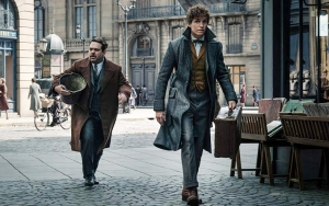 Dipuji Kritikus Film, 'Fantastic Beasts 2' Justru Dapat Rating Jeblok dari Rotten Tomatoes