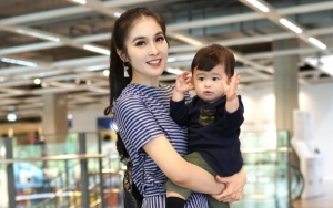 Fokus Main Pernak-Pernik Hiasan Natal, Raphael Buah Hati Sandra Dewi Sampai Menendang Anjing