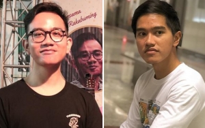 Persaingan Film Hanum Rais vs Ahok Ramai Disorot, Begini Respon Gibran dan Kaesang