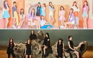 MAMA 2018: IZ*ONE Diprediksi Kalahkan G-IDLE Raih Rookie Awards, Netter Tak Rela
