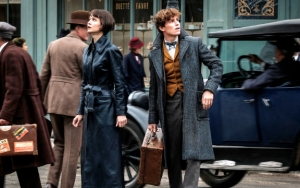 Film Kedua Baru Dirilis, Ternyata J.K. Rowling Sudah Siapkan Lima Seri 'Fantastic Beasts'