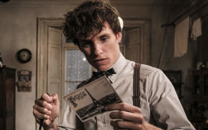 Raup Hingga Rp 3,6 Triliun Secara Global, 'Fantastic Beasts 2' Kukuhkan Posisi di Puncak Box Office