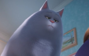 Intip Lucunya Gaya Hidup Chloe, Si Kucing Gendut di 'The Secret Life of Pets 2'