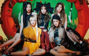 Comeback 'Really Bad Boy', Sinkronisasi Dance Red Velvet Dipuji