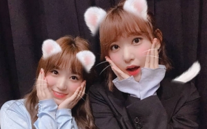 Miyawaki Sakura - Yabuki Nako Bakal Ikut Konser HKT48, Fans IZ*ONE Merasa Dikhianati