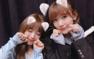 Agensi IZ*ONE Respon Protes Fans Soal Miyawaki Sakura - Yabuki Nako Ikut Konser HKT48