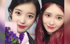 Tak Pernah Dapat Hadiah dari IU Meski Ngefans Berat, Netter Kasihani Idol Ini