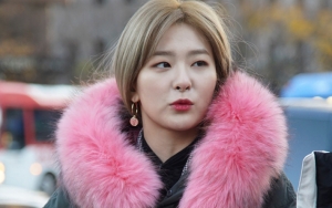 Seulgi Red Velvet Bagikan Pengalaman Buruk Saat Masa Training