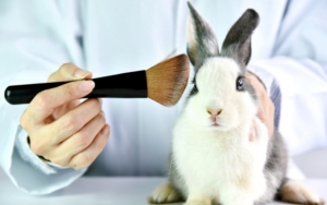 Tinggalkan Animal Testing, Selamatkan Hewan dengan Menggunakan Produk Kosmetik Cruelty Free