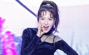 Netter Sebut Wendy Lebih Cantik dan Berbakat Ketimbang Irene, Setuju?
