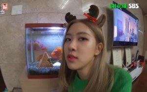 Bisa Lakukan Ini, Ikan Peliharaan Rose Black Pink Bikin MC 'We Will Channel You' Melongo