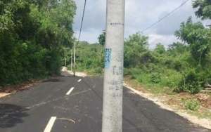Viral di Media Sosial, Video Jalanan Penuh Tiang Listrik di Bali Ini Jadi Serasa Ujian SIM
