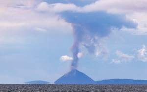 Awan Tebal Selimuti Gunung Anak Krakatau, BMKG Kesulitan Pantau Dinding Kawah