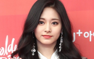 GDA 2019: Kelewat Cantik di Red Carpet, Tzuyu Twice Disebut Bak Boneka Lilin