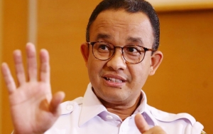 Ramai Razia Hewan di Jakarta, Foto Imut 'Lego' Kucing Liar Anies Baswedan Curi Perhatian Warganet