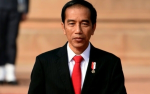 Akan Beri Gaji Perangkat Desa Setara PNS Golongan II A, Janji Jokowi Tuai Pro Kontra