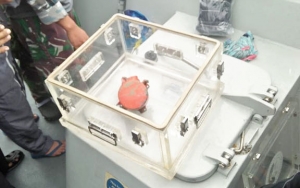 Tak Hanya CVR Lion Air JT-610, Penyelam TNI AL Juga Temukan 7 Kilogram Tulang