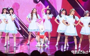 Janji Lepas Topeng Kelinci Jika Lagu Peringkat 1 Billboard, Member Pink Fantasy Ini Disorot