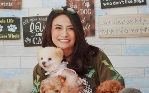 Video Lawas Vanessa Angel 'Om Telolet Om' Dibully, Polisi Bantah Lindungi Klien Prostitusi