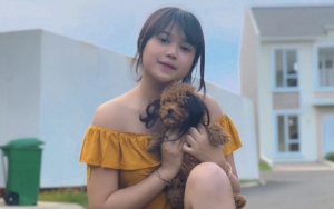  Brisia Jodie Geram Ulah Haters, Netter Ramai Labrak Fake Akun Pembully