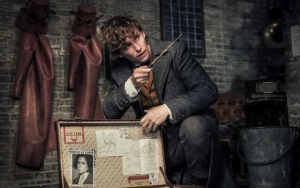 Produksi 'Fantastic Beasts 3' Ditunda, Jadwal Rilis Terancam Ikut Mundur