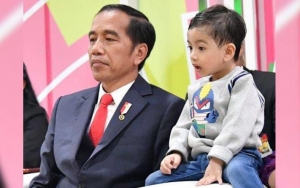 Jokowi Jika Jan Ethes Dilaporkan ke Bawaslu: Paling Cucu Saya Ngomongnya Masih Grutal-gratul