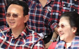  Ahok Resmi Jadi Kader PDIP, Alumni 212: Cocok