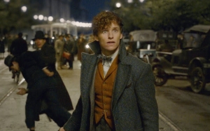 Inilah Penyebab Utama Mundurnya Jadwal Produksi 'Fantastic Beasts 3'