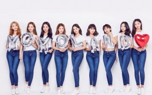 Momoland Umumkan Comeback Maret Mendatang, Fans Antusias