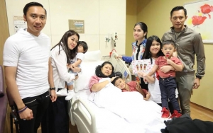 AHY dan Ibas Bakal Tetap Jalan Kampanye Demokrat Meski Ani Yudhoyono Sakit