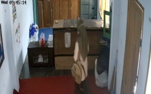 Aksi Wanita Curi Uang SPP Rp 130 Juta di Pesantren Malang Terekam CCTV